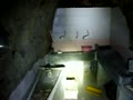 「廃墟」洞窟焼肉旅館？②